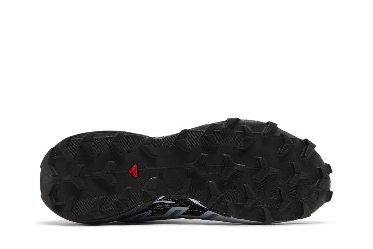 Salomon Wmns Speedcross 6 GORE-TEX 'Flint Stone Heather'