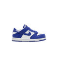Nike Dunk Low TD 'Concord'
