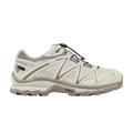 Salomon XT-Quest GORE-TEX 'Almond Milk Aloe'