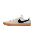 Men's  SB Zoom Blazer Low Pro GT Skate Shoes