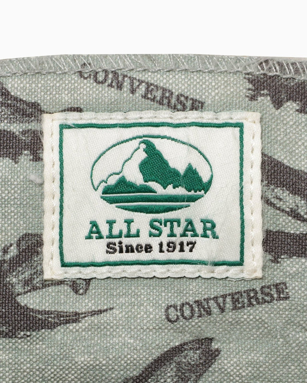 31312051 Converse All Star US Hunting Hi Trout (Men's)