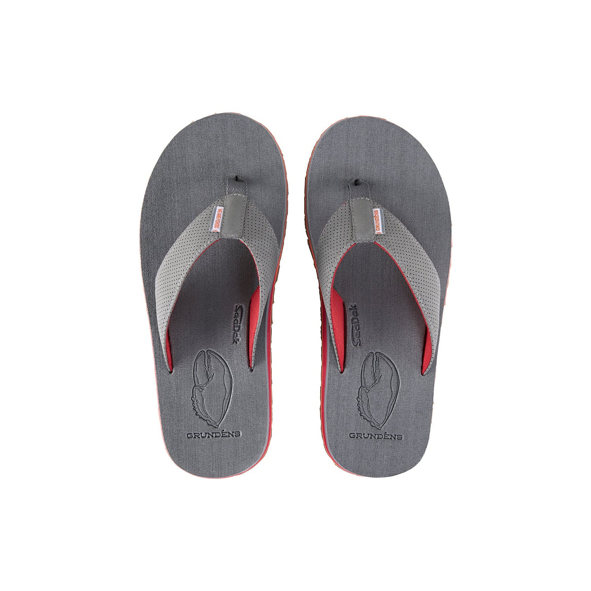 Species Sandal