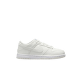 Nike Dunk Low SE TD 'Sail Croc'
