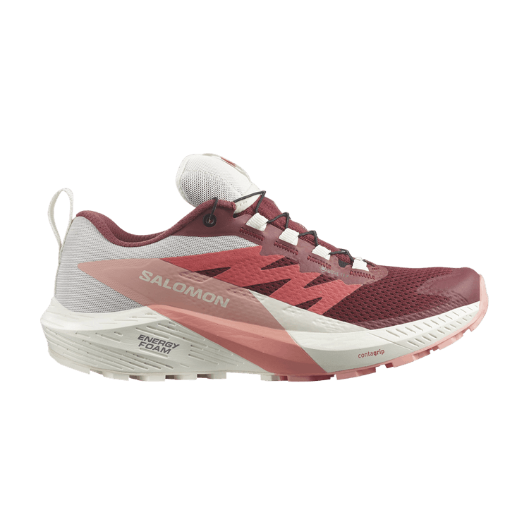 Salomon Wmns Sense Ride 5 GORE-TEX 'Syrah Peach Amber'