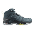 Salomon Wmns X Ultra 4 Mid GORE-TEX 'Stargazer Carbon'