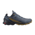 Salomon Cross Over 2 GORE-TEX 'Blue Nights Dark Navy Gothic Olive'
