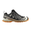 Salomon XA Pro 3D V9 GORE-TEX 'Black Turmeric'