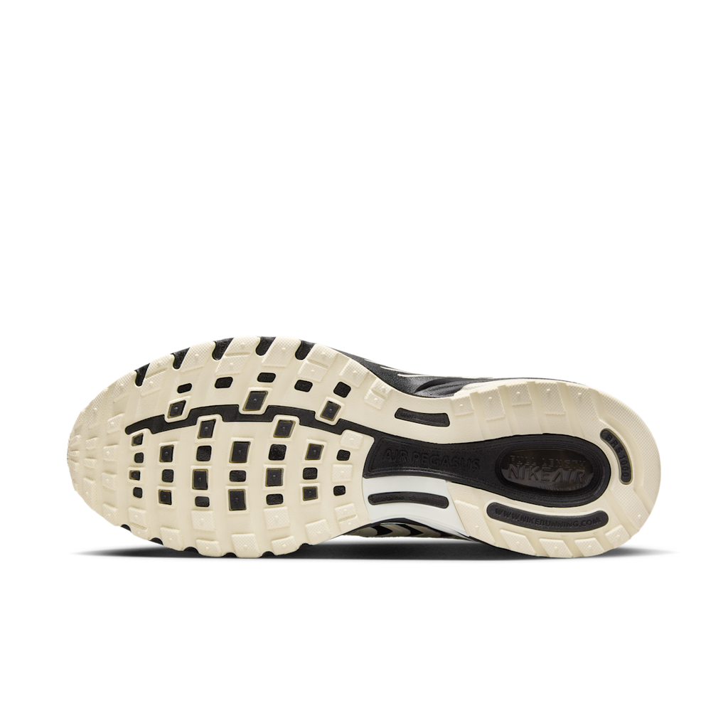 Men's Air Pegasus 2005 Shoes